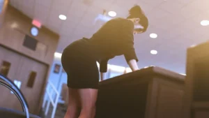 Fate and Life: The Mystery of Vaulinhorn